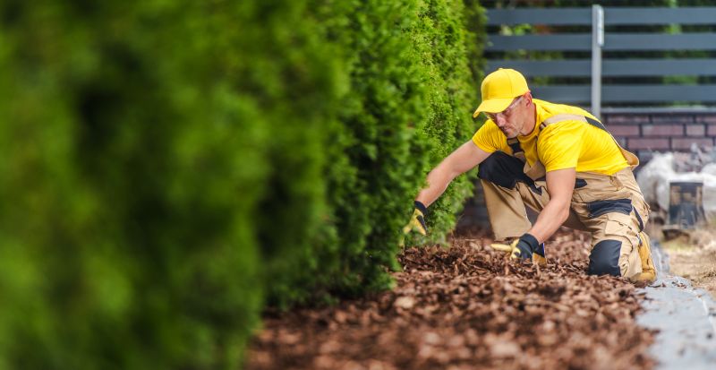 Mulch Installation