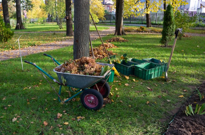 Visual of Fall Cleanup in Action