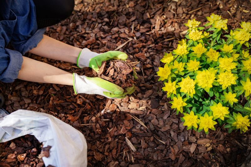 Mulch and Plant Bed