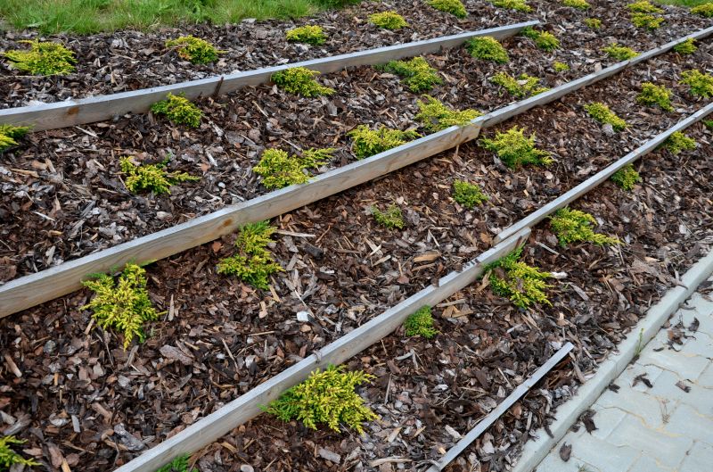 Budget-Smart Upgrades