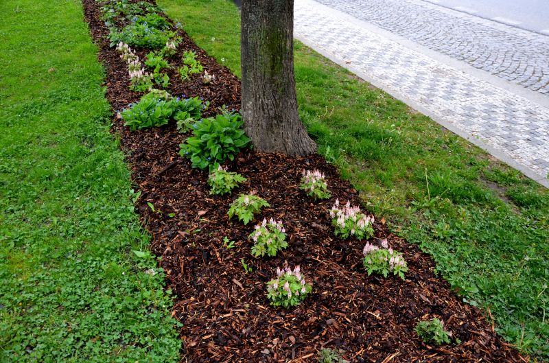 Mulch Layered Around Trees